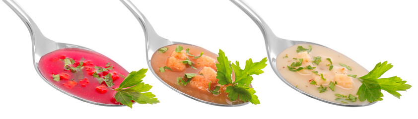 set of vegetable soups on a white background