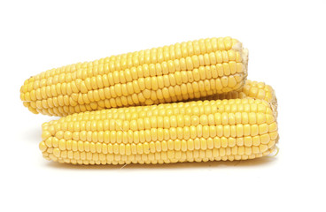 corn cobs