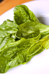 épinards, crudités, légumes, verdure, cuisine, sain