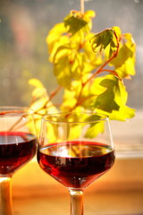 Closeup of red wine and leaves.