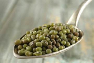 Haricot Mungo - Soja vert