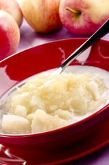 hausgemachter Apfelmus mit frischer Milch