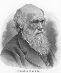 Charles Darwin - 37313232