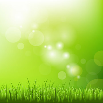 Green Background With Blur And Grass