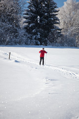 Cross-country skiing: young man cross-country skiing