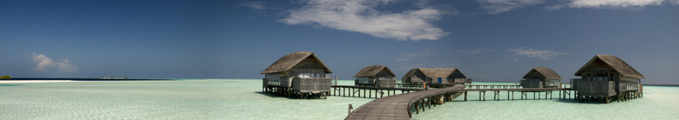 Maldivian Dream