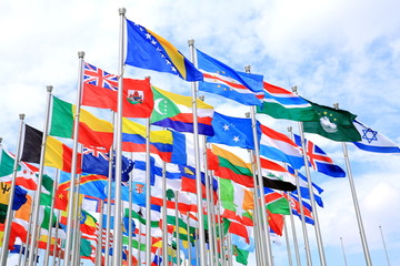 The world national flags