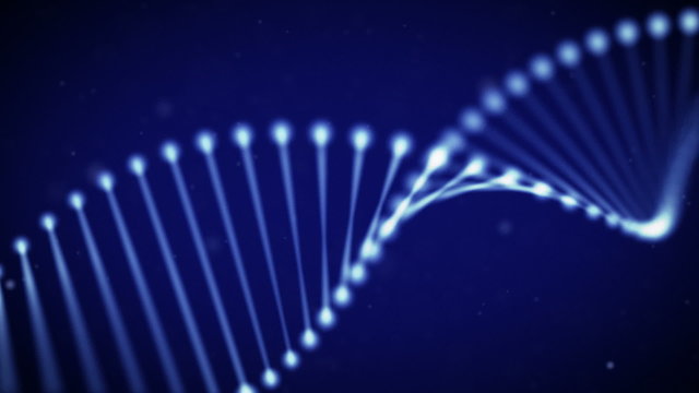 Animated DNA Chain, Loop.