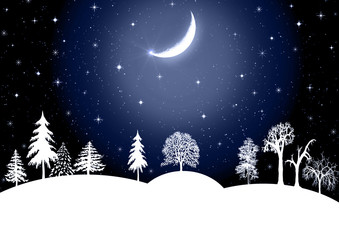 Winter christmas landscape in night with snow flakes