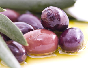 Olives Niçoises a l'huile d'olive 