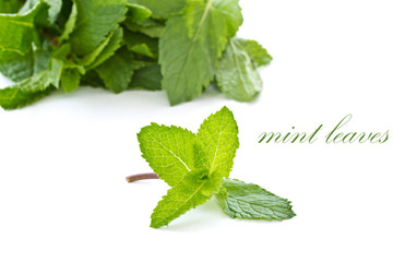 mint leaves