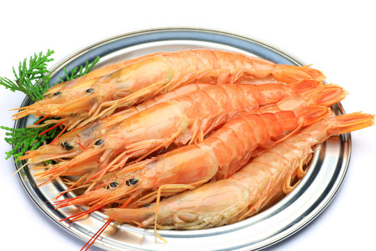 red shrimp