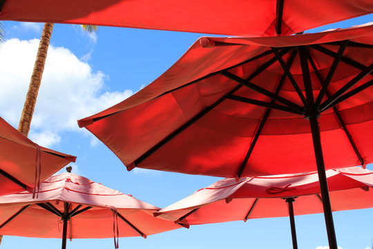 Beach parasols