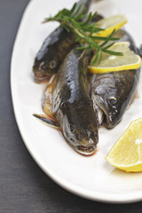 Frische Bachsaiblinge mit Rosmarin und Zitronenscheiben