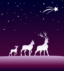 Rehe unter dem Sternenhimmel