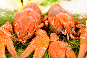 lobsters with salad