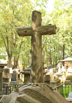 Tombstone between trees