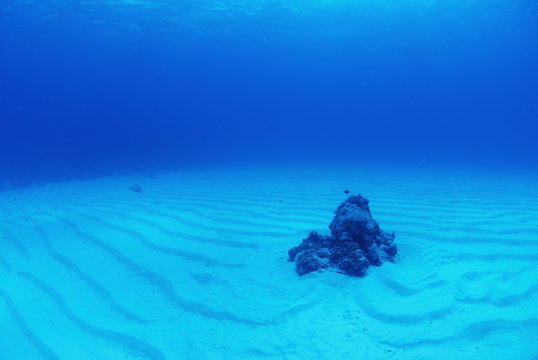 砂地の海底 の画像 102 件の Stock 写真 ベクターおよびビデオ Adobe Stock