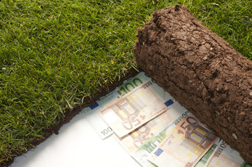 banconote in euro nascoste sotto un tappeto di erba