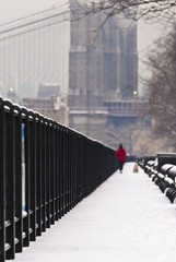 passeggiata a NY in inverno