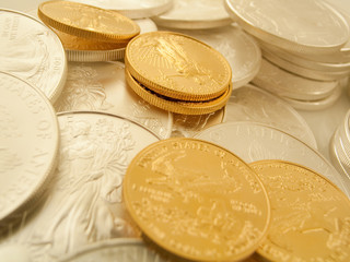 Gold and Silver U.S. Bullion Coins © eyeidea