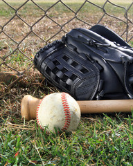Baseball, glove, and bat in a field next to a chain-link fence