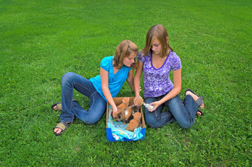 Girls Caring for Abandoned Kittens