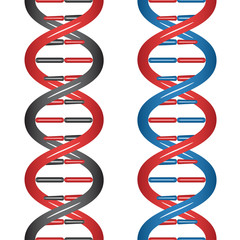 vector seamless DNA