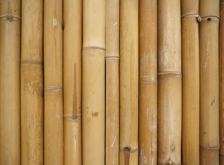 bamboo pattern