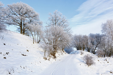 Snowy winter path
