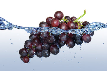Obst 237