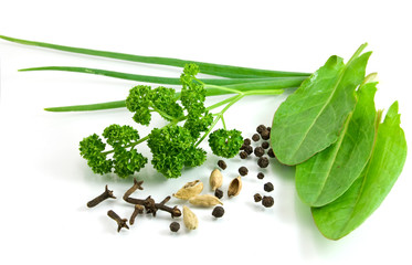 Greens and spices isolated on the white background