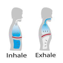 bauchatmung © linaluna86