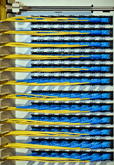 optical cables connecting to a networking patch panel