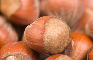 Hazelnuts