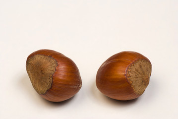 Hazelnuts