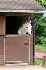 cheval