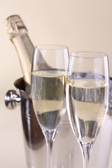 Champaigne and Cooler