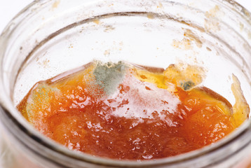 Macro shot of green-grey mold growing in jam-jar