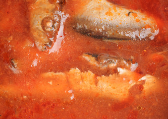 fish in tomato sauce as food background