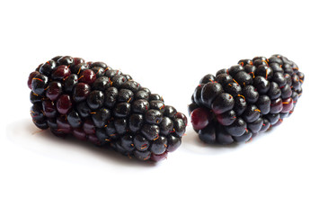 Black Berries on white