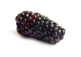 Black Berries on white