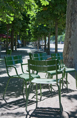 Fototapeta na wymiar Aleja Ogrodów Tuileries - Paryż - Francja