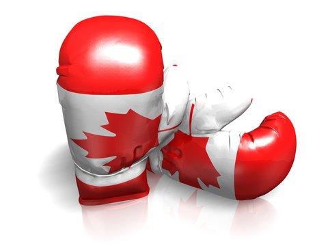 BOXING GLOVES CANADA