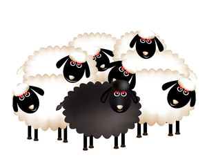 Group_of_white_and_black_sheep