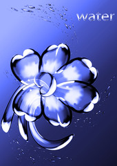 Flower from water drops on a blue background
