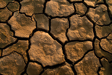 Cracked lifeless soil