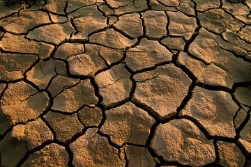 Cracked lifeless soil