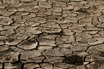 Cracked lifeless soil