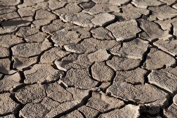 Cracked lifeless soil